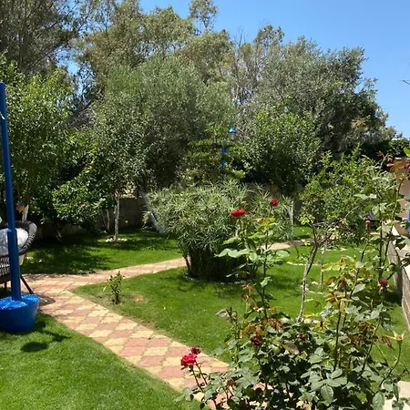 Happy Home شقة بودروم